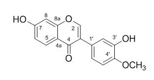 Phân lập và xác định cấu trúc isoflavone từ loài Sưa (Dalbergia tonkinesis Prain)