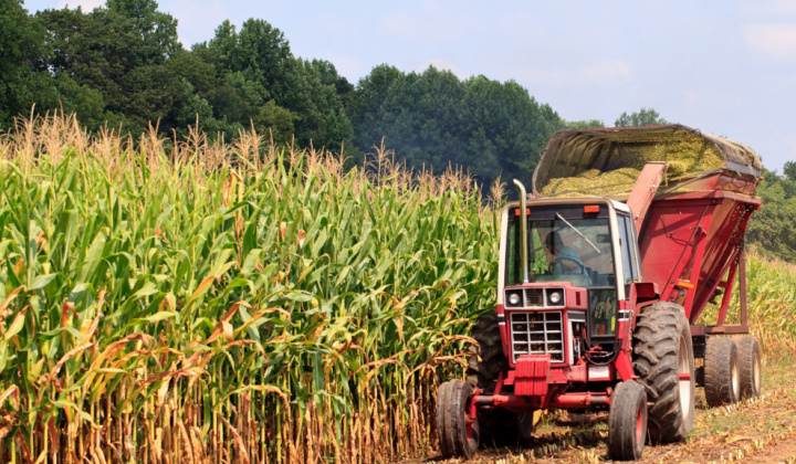 Diễn biến giá nông sản thế giới ngày 31/3