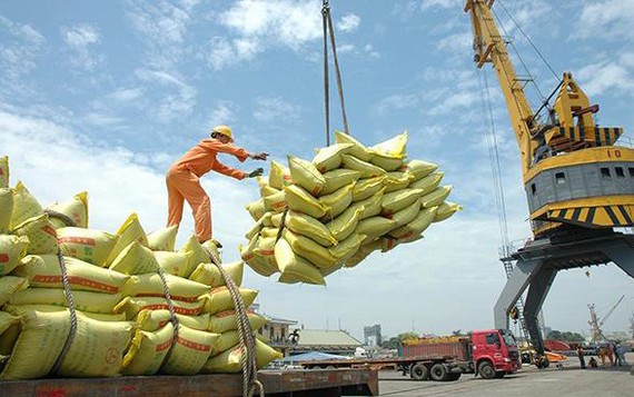Hạn ngạch xuất khẩu 400 ngàn tấn gạo trong tháng 4 năm 2020