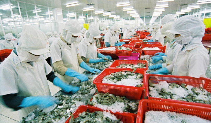 Xuất khẩu sang EU và những lưu ý cho doanh nghiệp Việt trước dịch Covid-19