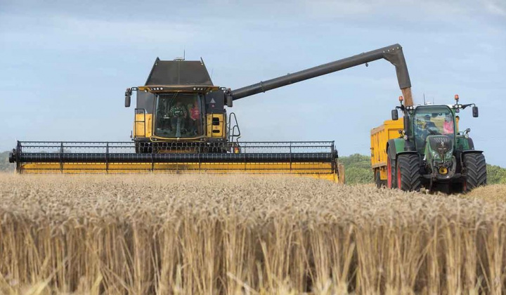 Diễn biến giá nông sản thế giới ngày 23/4