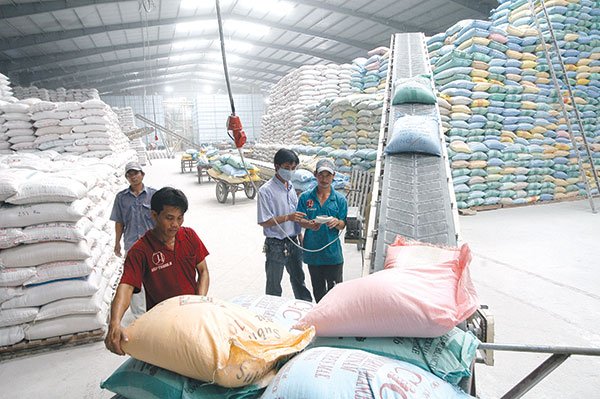 Xuất khẩu gạo nếp: Không kiểm tra thực tế với các lô hàng phân luồng Đỏ