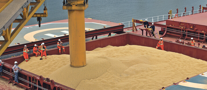 Diễn biến giá nông sản thế giới ngày 28/4