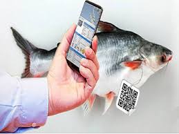 Kết hợp rfid và blockchain để xây dựng mô hình hệ thống truy xuất nguồn gốc sản phẩm trong hoạt động khai thác và nuôi trồng thủy sản tại đồng bằng sông Cửu Long