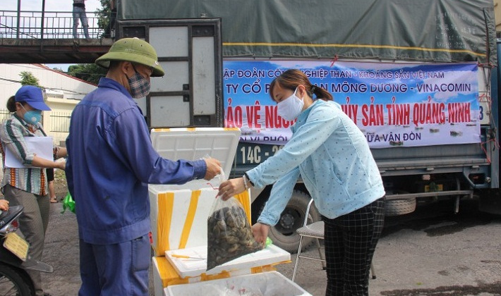 Than Mông Dương chung tay hỗ trợ ngư dân tiêu thụ thủy sản