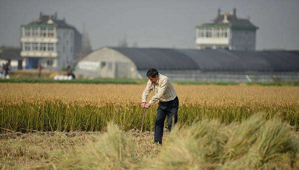 Quy định pháp luật về thu hồi đất và giải quyết khiếu nại về thu hồi đất của Trung Quốc