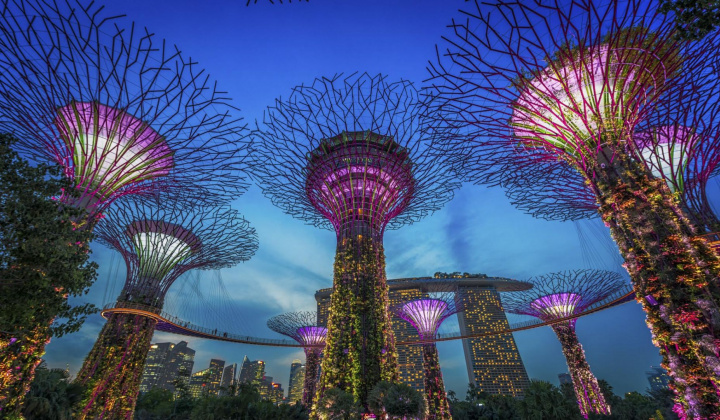 Điều gì khiến khu vườn thực vật "Gardens by the Bay" thu hút khách du lịch đến vậy?