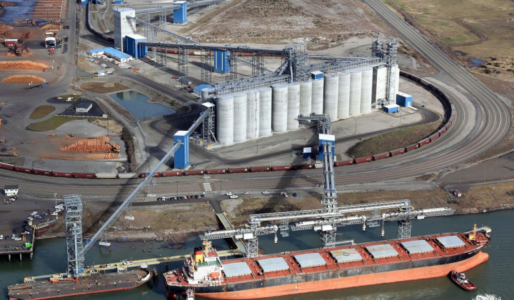 Giá ngô chịu áp lực giảm, dự báo sản lượng ngô của Hoa Kỳ chạm mức cao kỷ lục