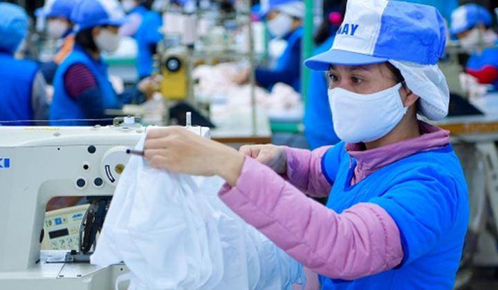 Cổ phiếu Dệt kim Hà Nội chào sàn UPCoM