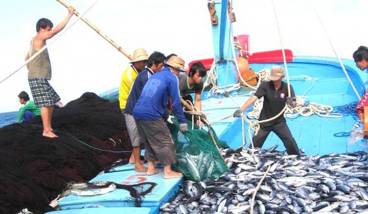 Nỗ lực mới trong gỡ thẻ vàng IUU