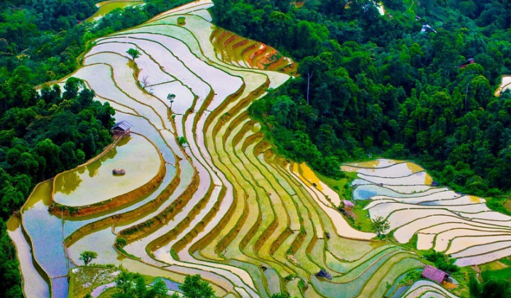 Ruộng bậc thang Hoàng Su Phì mùa nước đổ