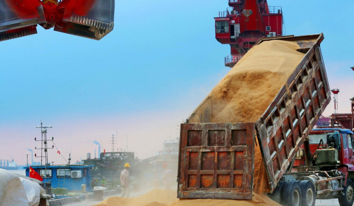 Giá đậu tương tiếp tục tăng bất chấp căng thẳng quan hệ Hoa Kỳ - Trung Quốc