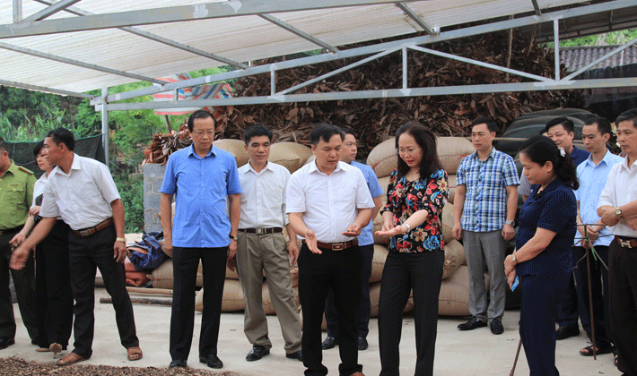 Huyện Tràng Định - Tích cực đổi mới mô hình tăng trưởng dựa trên phát huy các thế mạnh