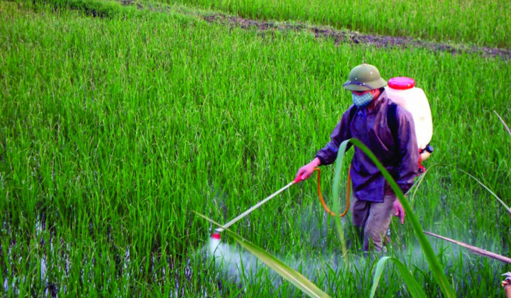 Vì sao cần sớm sửa đổi chính sách thuế phân bón?