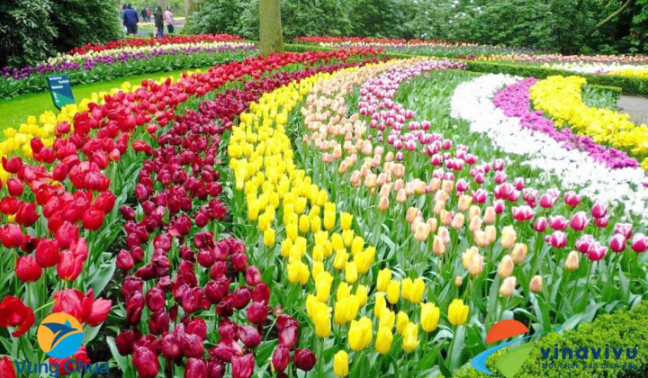 Đà Lạt - Thành phố ngàn hoa