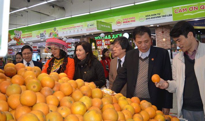 Triển khai Chương trình phát triển kinh tế vùng dân tộc thiểu số, miền núi