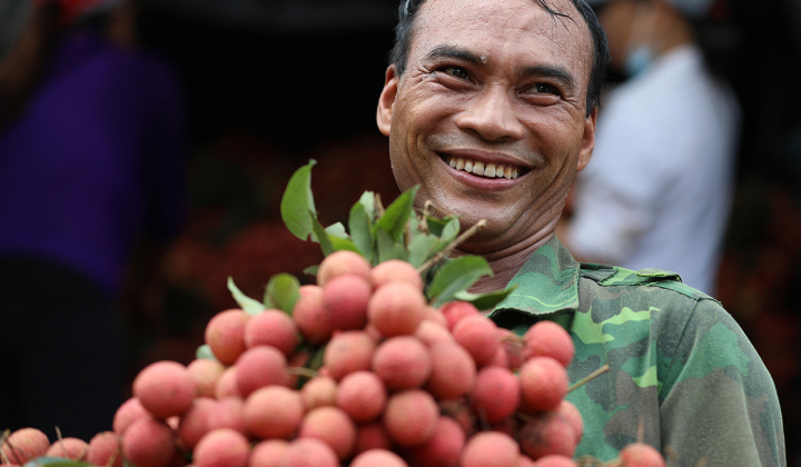 Vải thiều Lục Ngạn lần đầu tiên lên sàn thương mại điện tử