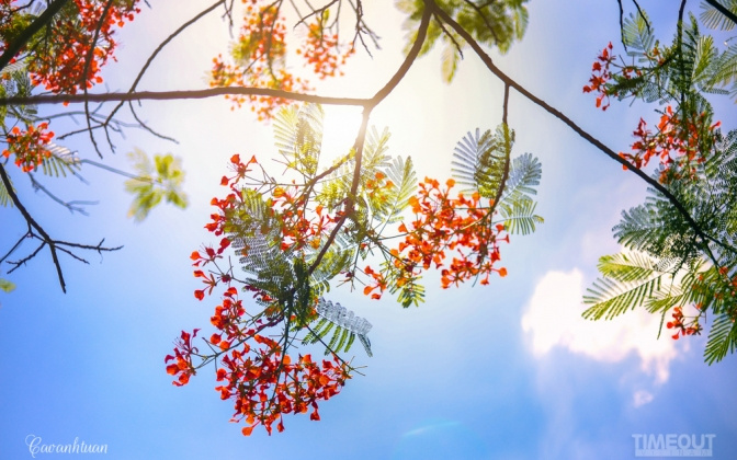 Thời tiết 23-6: Nắng nóng đặc biệt gay gắt bao trùm miền Bắc