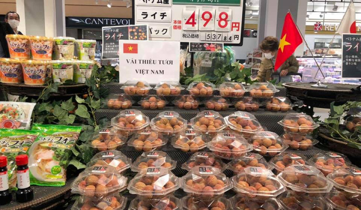 Hành trình 5 năm thử thách, đưa vải thiều sang đất Nhật