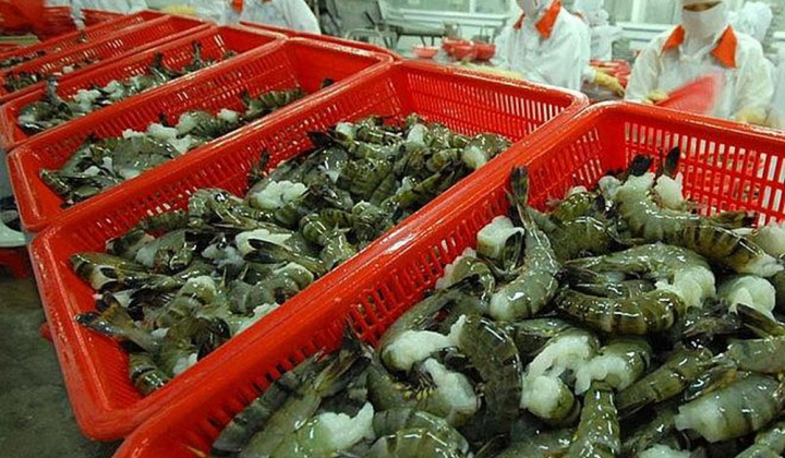 Xuất khẩu tôm sang Canada tăng mạnh