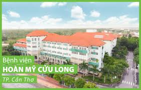 Yếu tố ảnh hưởng đến tính hữu hiệu của hệ thống kiểm soát nội bộ tại Bệnh viện Hoàn Mỹ Cửu Long