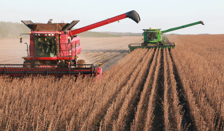 Đậu tương tiếp tục tăng giá phiên thứ 4 liên tiếp nhờ nhu cầu tăng cao