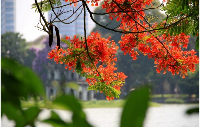 Thời tiết 4/2: Bắc Bộ ấm dần lên