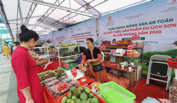 Saigon Co.op nỗ lực bao tiêu nông sản các tỉnh phía Bắc