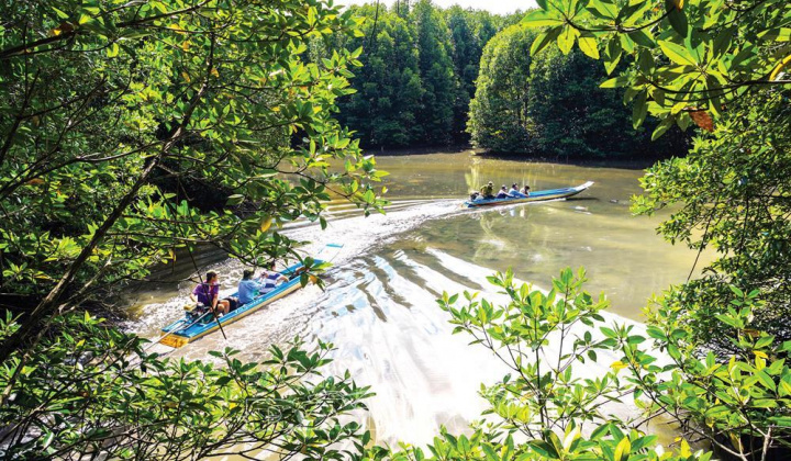 Mênh mang đất mũi Cà Mau