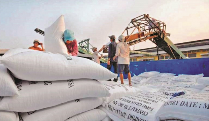 Xuất khẩu gạo tăng trưởng tích cực trong nửa đầu năm