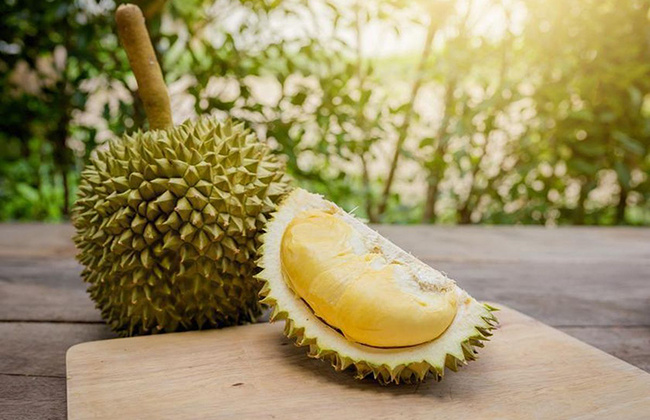 Mở rộng quảng bá sầu riêng Việt Nam tại Úc