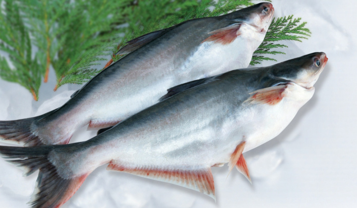 Biến đổi hàm lượng peptid và acid amin trong quá trình thủy phân phế phẩm chế biến cá tra bằng protease