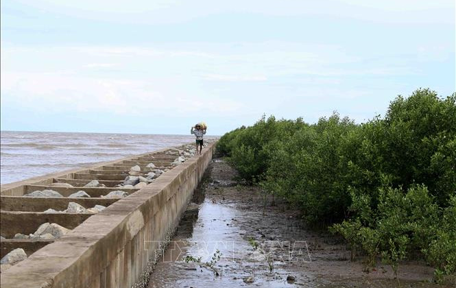 Bên ngoài đang nước to gió lớn, bằng mọi giá phải bao chặt "tuyến đê" 4.000 km