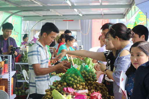 Xúc tiến tiêu thụ, xuất khẩu sản phẩm nhãn Sơn La