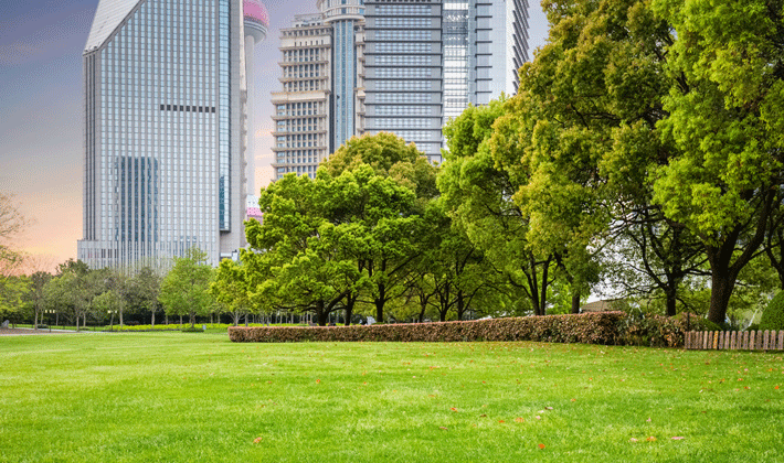 Xu hướng Khách sạn xanh