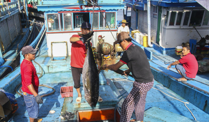 3 điểm cộng trong quy tắc xuất xứ của RCEP