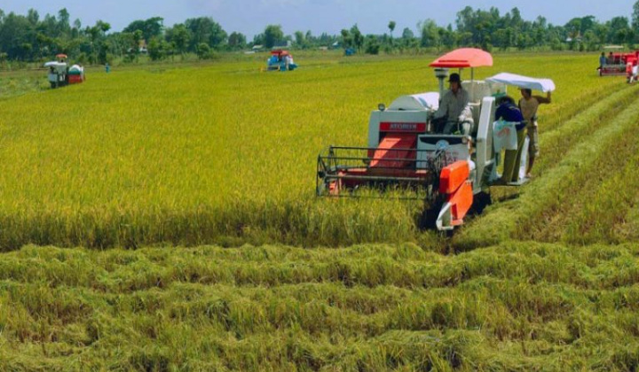 ĐBSCL hướng đến chuyển đổi số, xây dựng cánh đồng “thông minh”