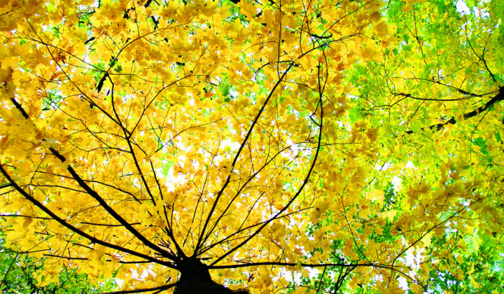 Hà Nội vào thu rồi đấy nhỉ!