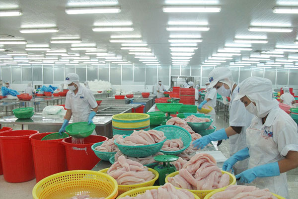 Cơ chế hạn ngạch thuế quan đối với tất cả các mặt hàng trừ gạo trong EVFTA