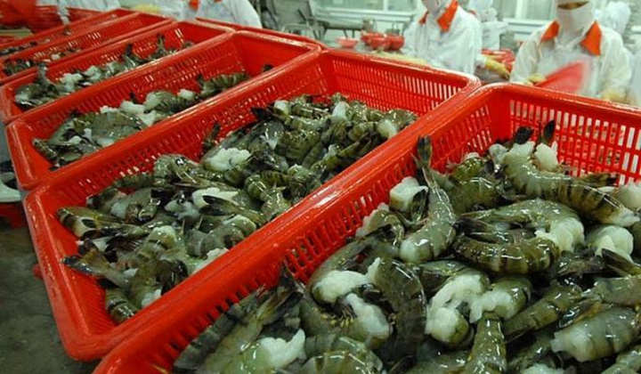 Xuất khẩu tôm sang Mỹ dự kiến tăng 20% năm 2020