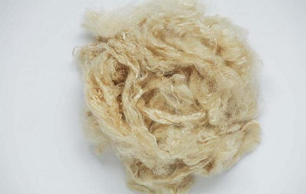 Rong biển, kẽm để chế tạo sợi thông minh thân thiện với làn da