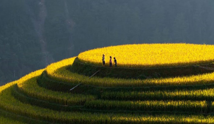 Mù Cang Chải có gì đặc biệt mà bạn nhất định phải đến