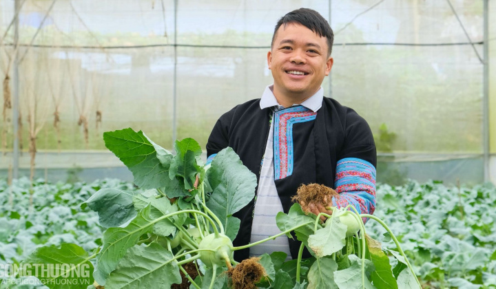 Rạng rỡ sinh kế Vân Hồ