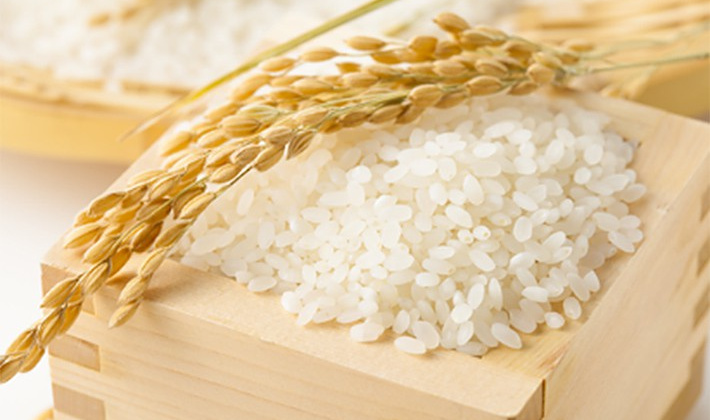 Giá gạo trong nước tăng mạnh, Bra-xin khẩn cấp đưa thuế nhập khẩu gạo về 0%