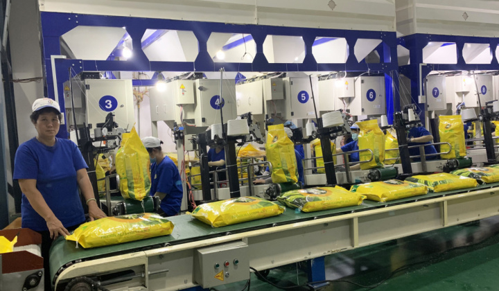 Lô gạo thơm đầu tiên chính thức được xuất sang EU theo EVFTA