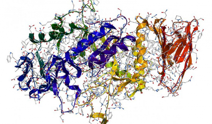 Các yếu tố ảnh hưởng đến khả năng sinh alpha-amylase chịu nhiệt của chủng Bacillus SPP.