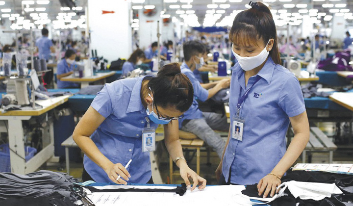 Nhiều doanh nghiệp đã nhập cuộc EVFTA