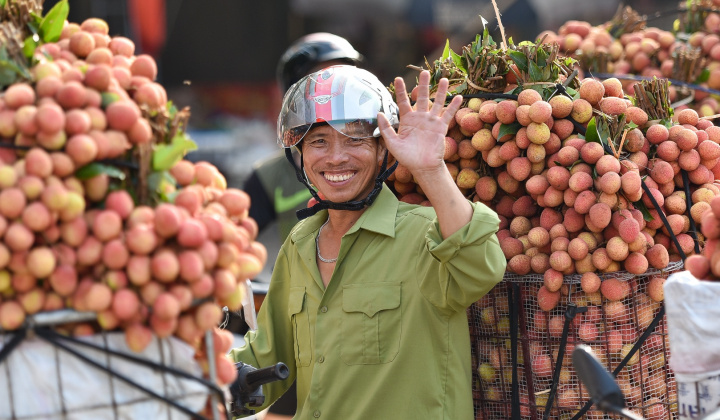 Xuất khẩu hoa quả Việt: Cơ hội từ thị trường Thượng Hải tiềm năng