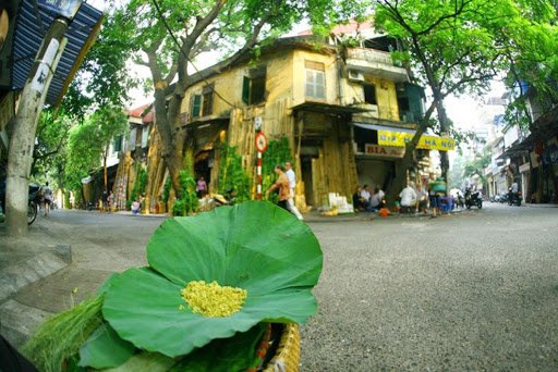 Thời tiết 29-9: Miền Bắc tạnh ráo, tiết thu mát mẻ