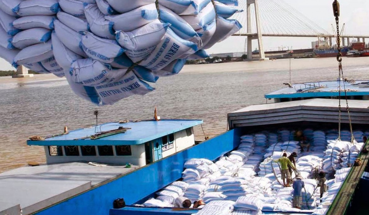 EVFTA - lực đẩy để gạo Việt tự tin vào EU